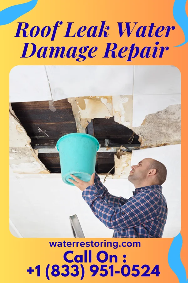 Roof Leak Water Damage Repair in White Center, WA